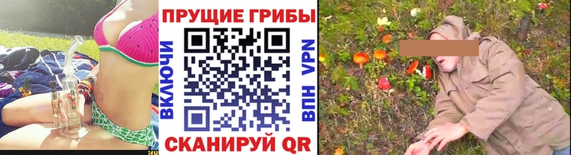 Галлюциногенные грибы Cubensis  mega зеркало  Унеча 